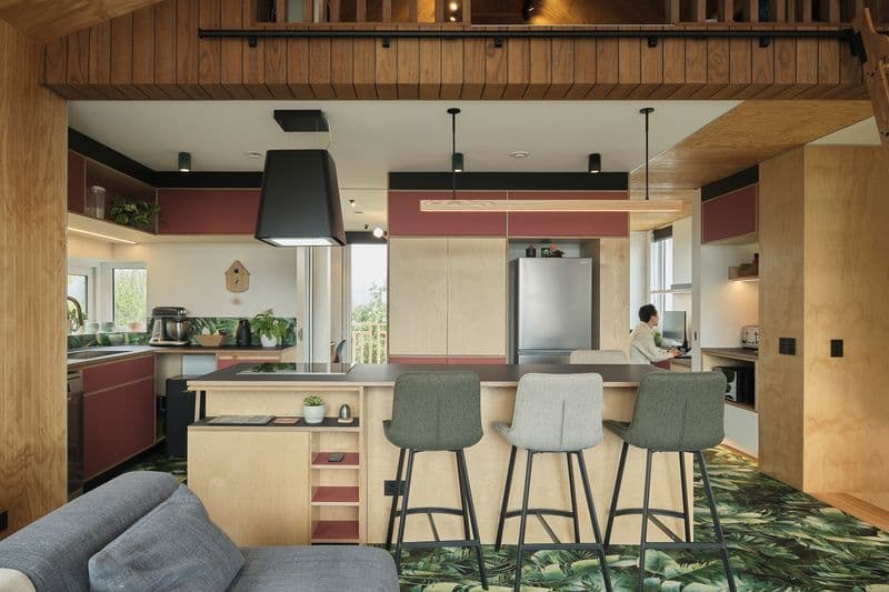 Kapiti architectural plywood kitchen
